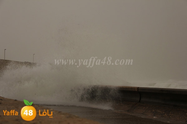 mina2 adrar jfe (15).jpg